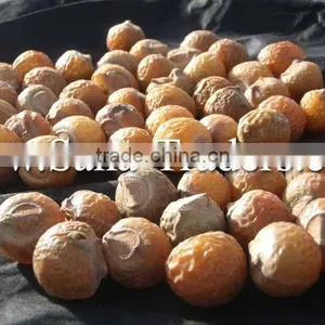 Natural Soap Nuts / Soap Nuts / Personal Care Soap Nuts thumbnail-1