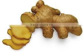 Ginger Vietnam thumbnail-1