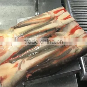 Frozen Fish Seafood Good Quality Cat Fish thumbnail-2