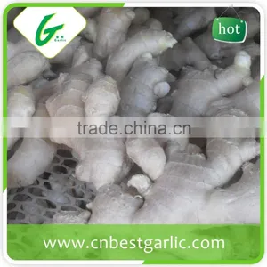 Air Dry Fresh Ginger thumbnail-6