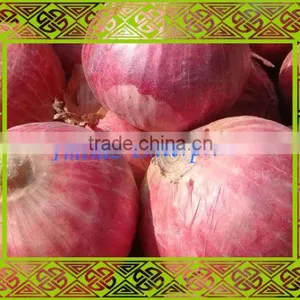 Fresh Onion thumbnail-1