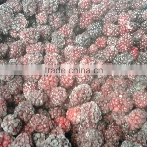 BRC,KOSHER,HALAL IQF Cultivated Blackberry thumbnail-1