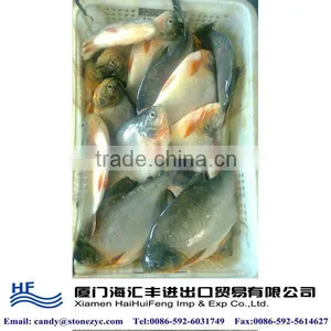 China Fish Company thumbnail-1