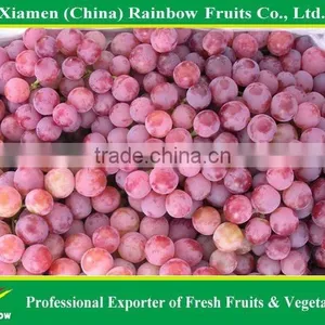 Fresh Yunnan Red Globe Grape With Good Taste Grapes Peru Seedless Grapes thumbnail-6