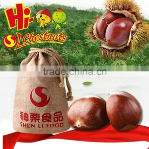 The Best Chinese Species Fresh Chestnut thumbnail-5