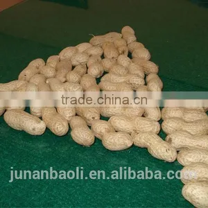2015 New Crop Peanut Inshell thumbnail-1