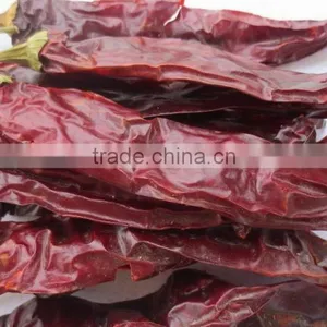 Chinese Manufacturer Supplier A Grade ISO, HACCP, HALAL Certification 80-240 Asta Hot Selling Red Sweet Paprika Chilli thumbnail-3