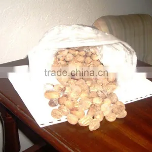 Shea Nuts thumbnail-1