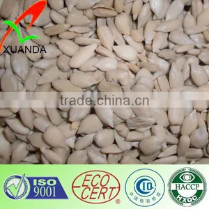 Sunflower Seed Kernels for Bakery & Confectionary From China thumbnail-1
