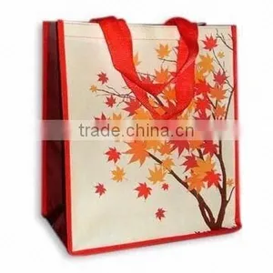 Non Woven Gift Bag thumbnail-1