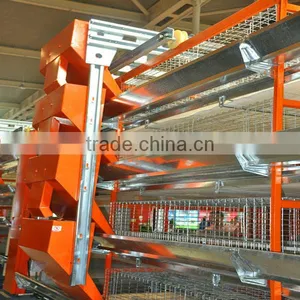 Chicken Crates thumbnail-1