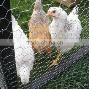 Anping Longyi Factory Twist Chicken Wire Mesh/double Twisted Hexagonal Gabion Mesh(ISO Factory & Exporter) thumbnail-2
