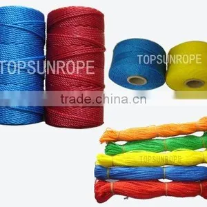 PE Twine thumbnail-1