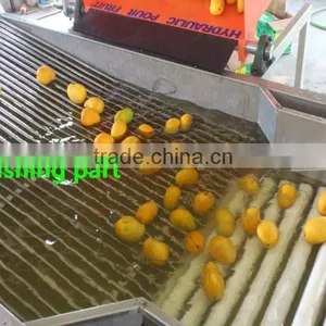 Professional Brush and Bubble Fruit Vegetable Washing Machine thumbnail-2