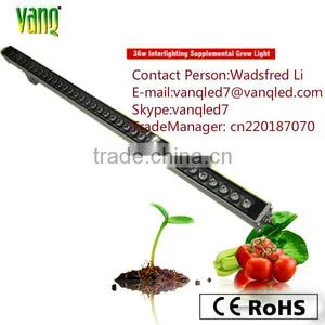 2017 36W Led Grow Light Bar for Vertical Hydroponic Systems thumbnail-1