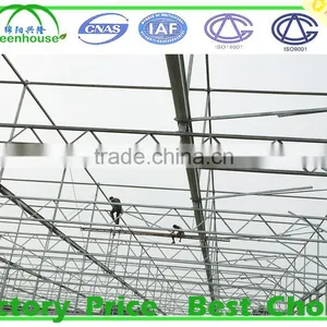 Glass-to-ground Greenhouse, Glass House thumbnail-3