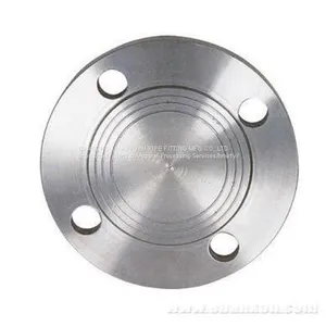 Stainless Steel Blind Flange Ss 304 thumbnail-2