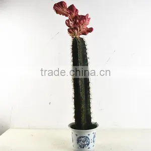 SJ3001101 Artificial Cactus Plant/cheap Artificial Plants/red Cactus Plant thumbnail-3