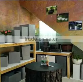 Guangdong Dragon Empire Trade Co., Limited company overview - view 2 thumbnail