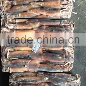 Health Food Frozen Illex Squid With High Nutritious Value thumbnail-3