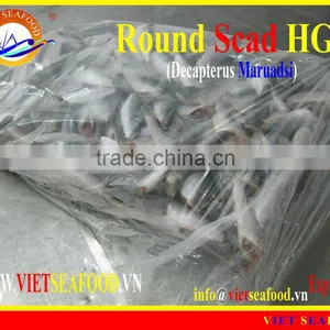 FROZEN ROUND SCAD HGT thumbnail-2