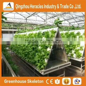 Agricultural Greenhouses For Soilless Hydroponics / Nft Systems For Tropical And Desert Areas thumbnail-6