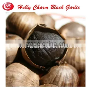 Fermentation Box Black Garlic Improves Lipids thumbnail-3