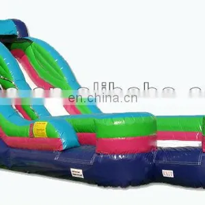 Inflatable PVC Slide, Inflatable Game China, Commercial Inflatable Slide DS075 thumbnail-1