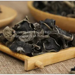 Fungus Drying Machine thumbnail-4