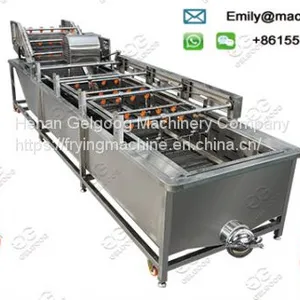 Industrial Mango Washing Machine Manufacturer thumbnail-1