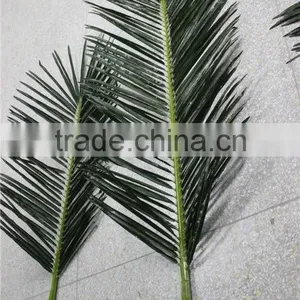 Coconuts Leaves Price thumbnail-1