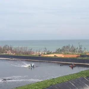 White Shrimp Aquaculture Anti-seepage Measures 8 Meters Wide, 420 Meters Long, and 0.5mm Thick HDPE Geotextile Film thumbnail-2