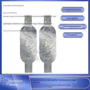 Supplier of Sacrificial Anodes - Libo Anticorrosion, Zinc Blocks for Ballast Water Tanks, Zinc Anodes thumbnail-4