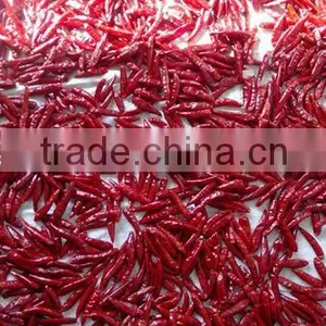 Spice Hurb Factory Price Dry Hot Red Chili Chinese Chaotian Chili Stem or Stemless thumbnail-2