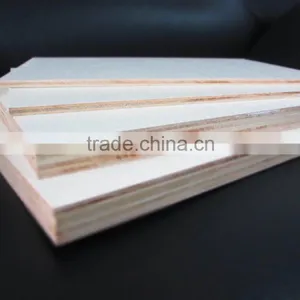 Doka Plywood 21mm thumbnail-4