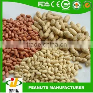 Good Peanut Kernel 24/28 Blanched Peanuts 25/29 //peanuts 40/50 thumbnail-1
