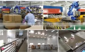 Guangzhou Yick Tak Blister Packaging Co., Ltd. company overview - view 3 thumbnail