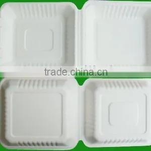 Biodegradable Food Container thumbnail-1