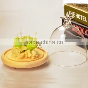 Glass Cake Plate With Dome thumbnail-1