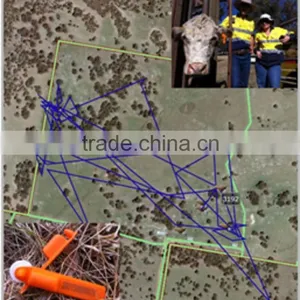 Cattle GPS Tracking With GEO-Fence ,MT-60,with Central Database thumbnail-2