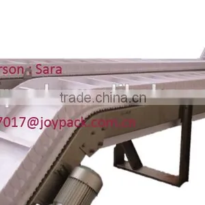 Modular Conveyor for Potato Chips thumbnail-1