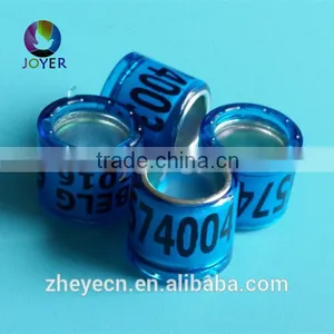 Free Shipping 8mm Natinal Standard Pigeon Union Rings thumbnail-3