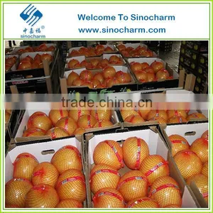 Hot Sell Fresh Pomelo, Honey Pomelo thumbnail-2