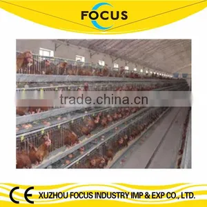 Focus Industry Hot Galvanized Poultry Battery Cages thumbnail-1