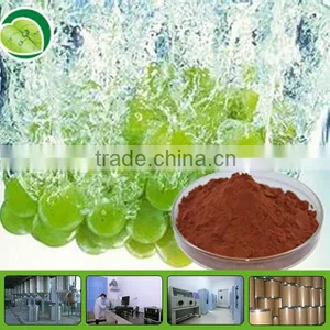 GMP Factory Organic Grape Seed Extract 95%opcs thumbnail-1
