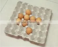 Fully Automatic Paper Pulp Egg Tray Production Line thumbnail-3