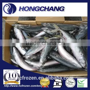 Frozen JAPAN Mackerel Whole Round thumbnail-1