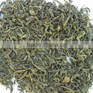 OP Green Tea thumbnail-1