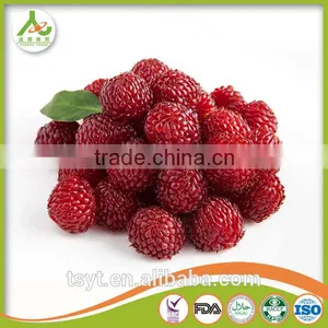 Golden Supplier of Top Quality IQF Frozen Raspberry thumbnail-6