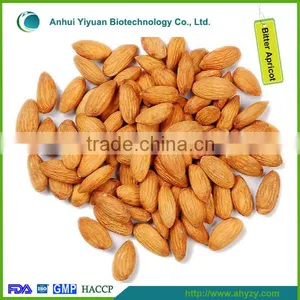 Bitter Apricot Kernel/Sweet Apricot Kernel thumbnail-1